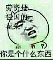 劳资是祖国的花朵，你是个什么东西。