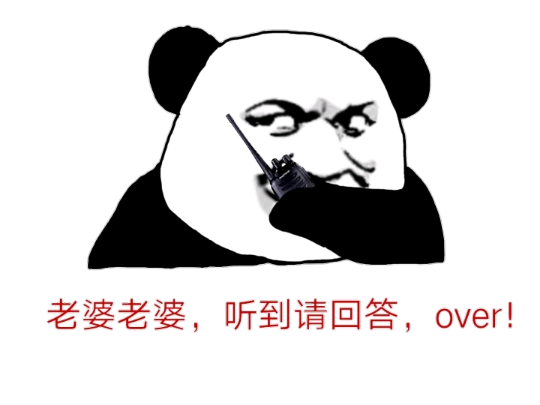 老婆老婆，听到请回答，over！（熊猫）
