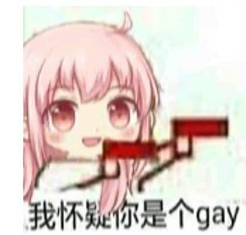 我怀疑你是个gay