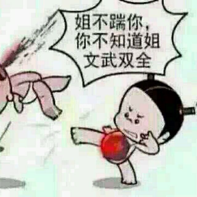 姐不踹你,你不知道姐文武双全