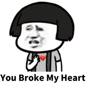 you broke my heart