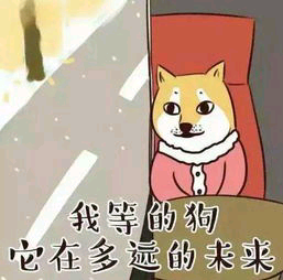 我等的狗它在多远的来来