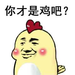 你才是鸡吧？