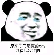 原来你们是真的gay只有我是装的