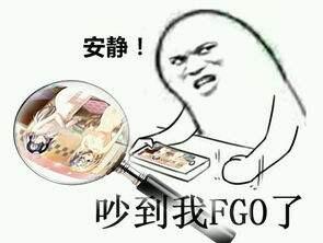 安静！吵到我FGO