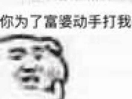 你为了富婆动手打我