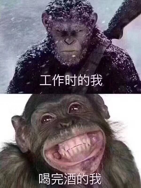 工作时的我，喝完酒的我
