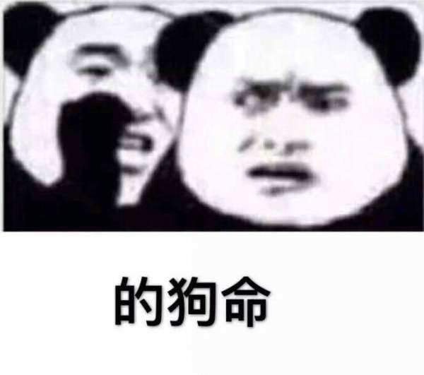 的狗命