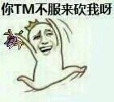 你TM不服来砍我呀