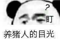 盯，养猪人的目光