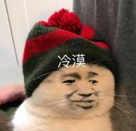 冷漠小猫