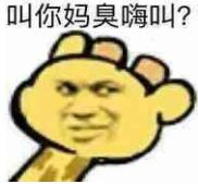 叫你妈臭嗨叫？