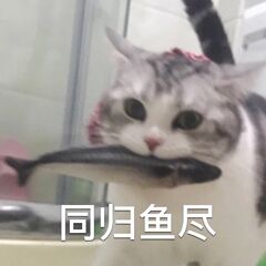 同归鱼尽