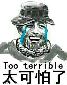 太可怕了 too gerrible