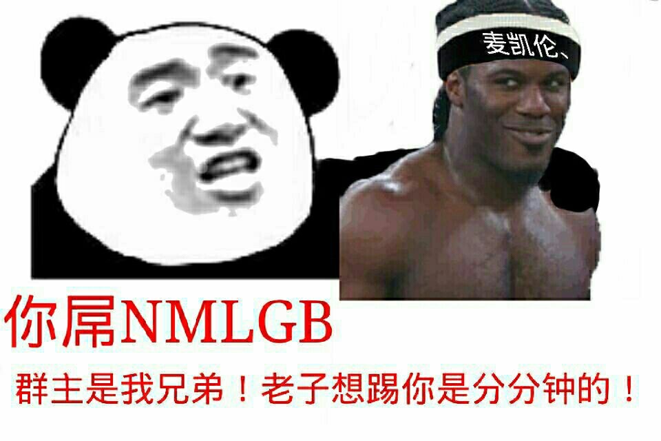 你屌NMLGB，群主是我兄弟！老子想踢你是分分钟的！