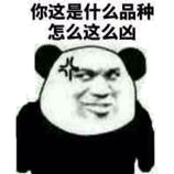 你这是什么品种，怎么这么凶！