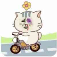 金馆长骑车车（可爱萌萌哒）