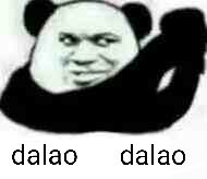 dalao dalao