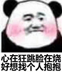 心在狂跳脸在烧，好想找个人抱抱