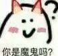 你是魔鬼吗？