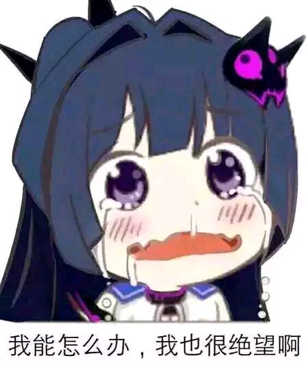 我能怎么办，我也很绝望啊！