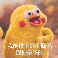 我能摸下你的胸吗？哪怕是垫的