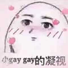 gaygay的凝视