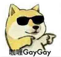 咖喱GayGay（墨镜小黄狗）