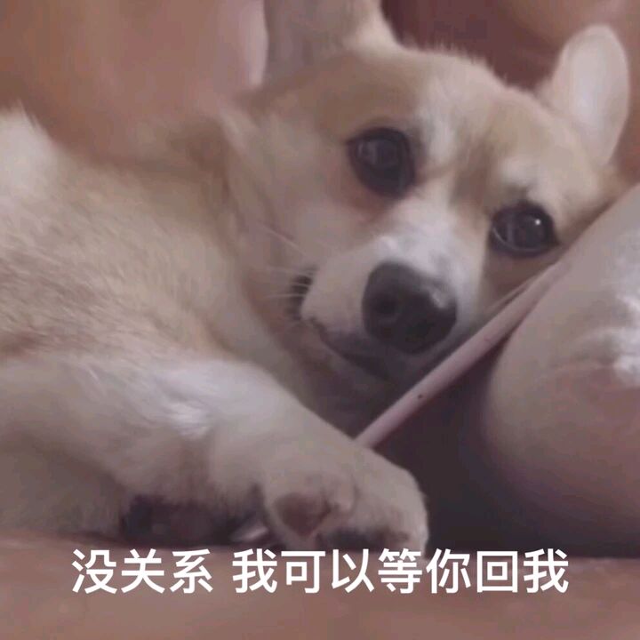 没关系我可以等你回我