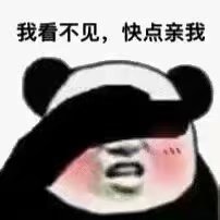 我看不见，快点亲我