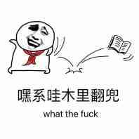 嘿系哇木里翻兜what the fuck