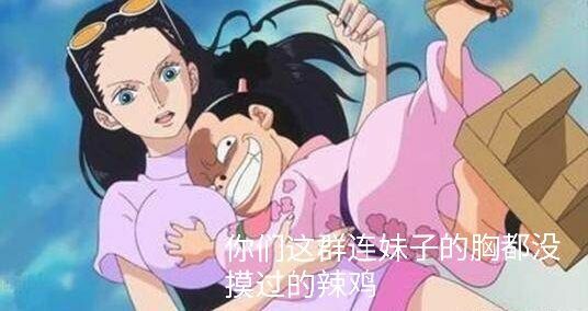 连妹子的胸都没