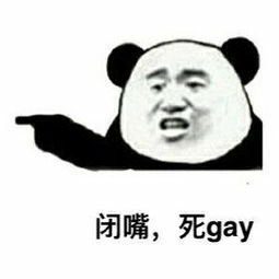 闭嘴，死gay