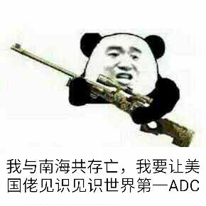 我与南海共存亡，我要让美国佬见识见识世界第一ADC