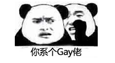 你系个Gay佬