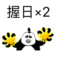 握日x2