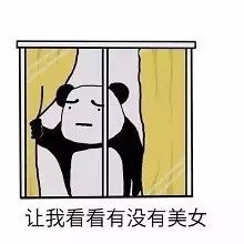 让我看看有没有美女