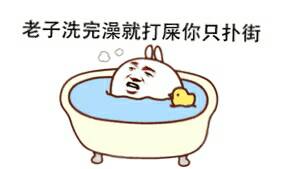 老子洗完澡就打屎你只扑街