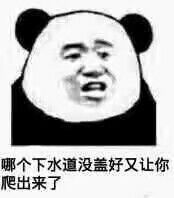 哪个下水道没盖好又让你爬出来了？（熊猫人）