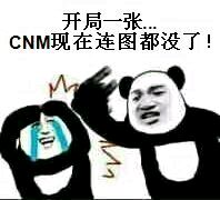 开局一张CNM现在连图都没了！