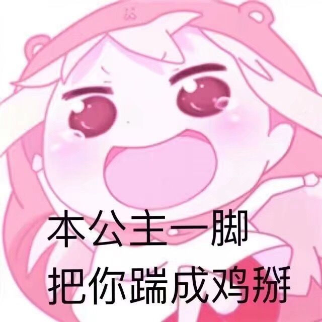 本公主一脚把你踹成鸡掰