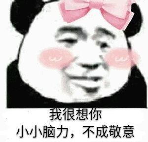 我很想你小小脑力，不成敬意