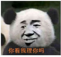 你看我理你吗