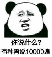 你说什么?有种再说10000遍