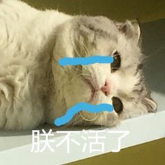 朕不活了