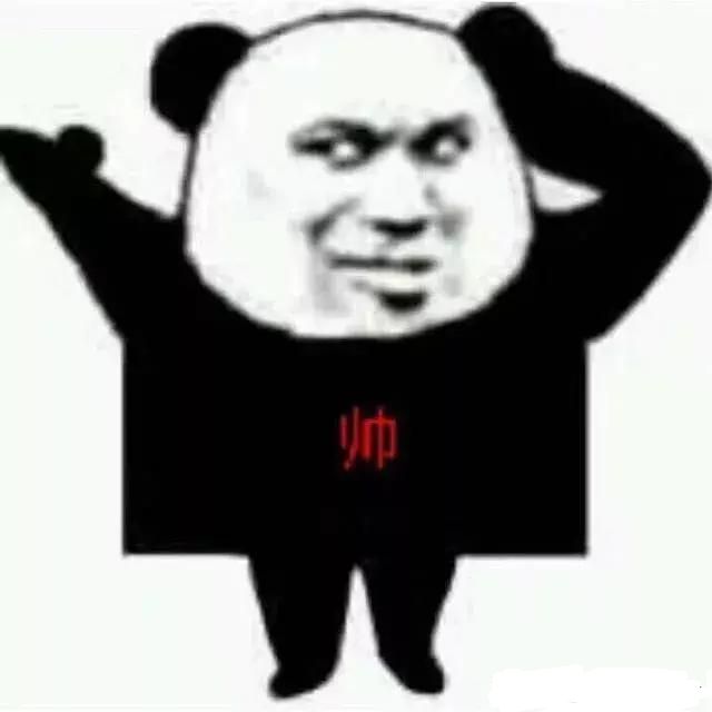 帅熊猫