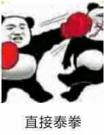 直接泰拳