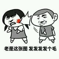 老是这张图，发发发发个毛