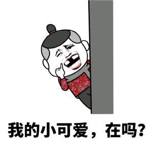 我的小可爱，在吗？