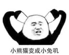 小熊猫变成小兔叽